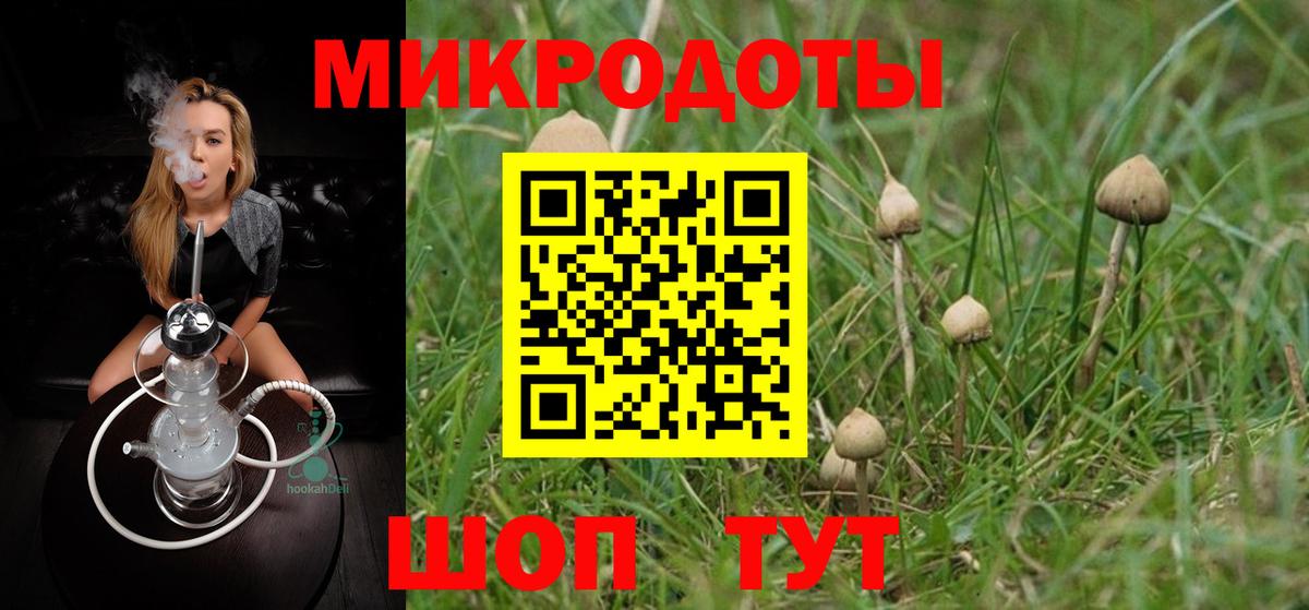 Псилоцибиновые грибы мицелий Александров